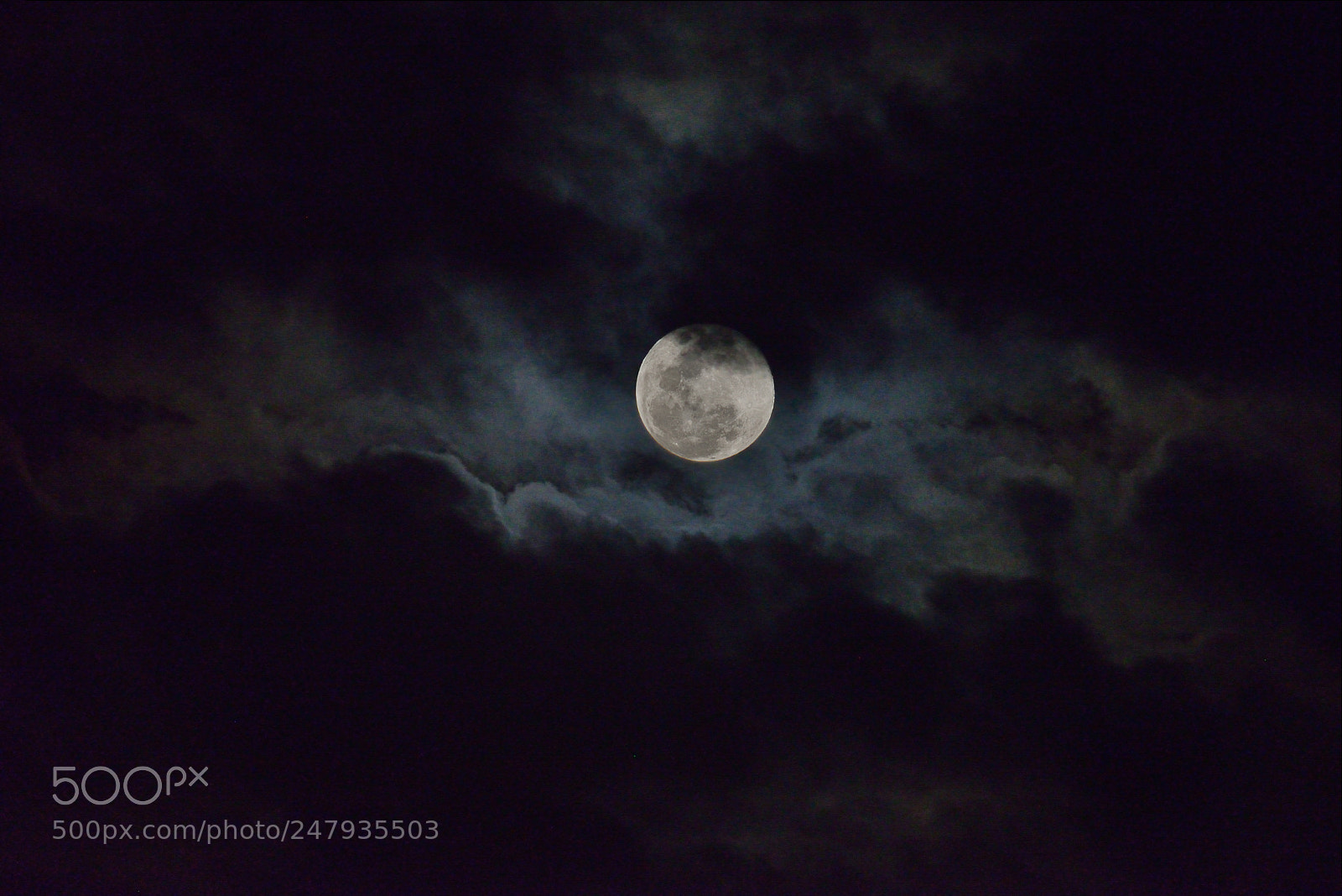 Nikon D610 sample photo. 月亮跟雲 photography