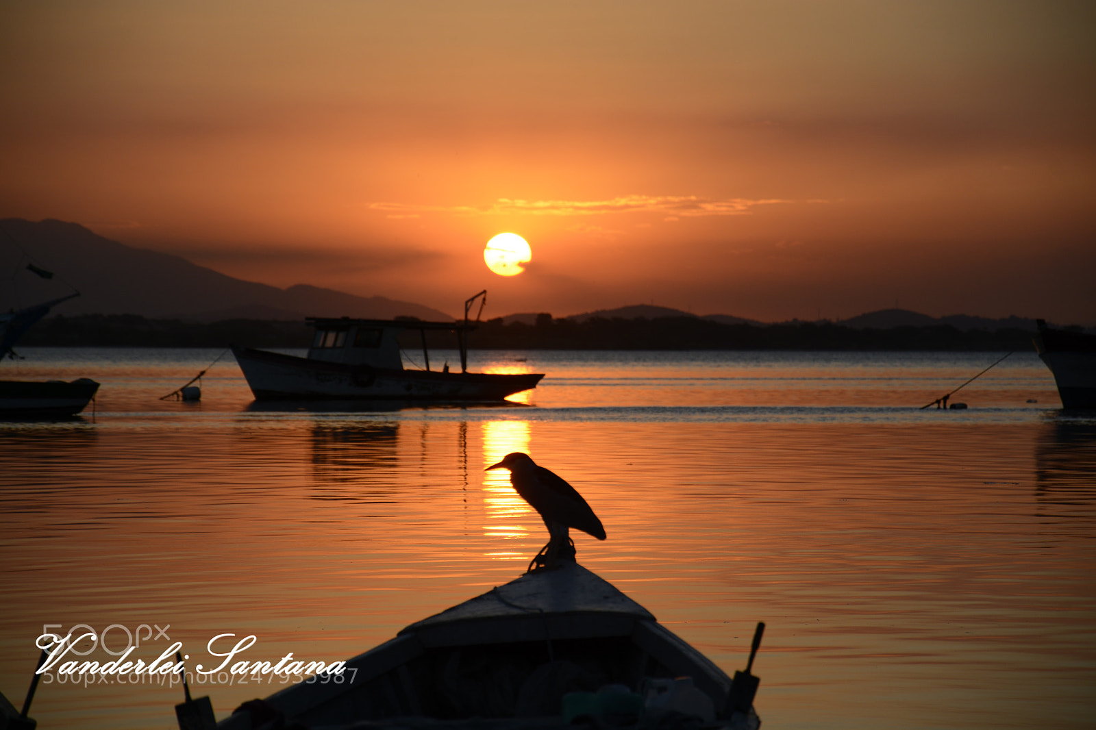 Nikon D7100 sample photo. #pôrdosollindo photography