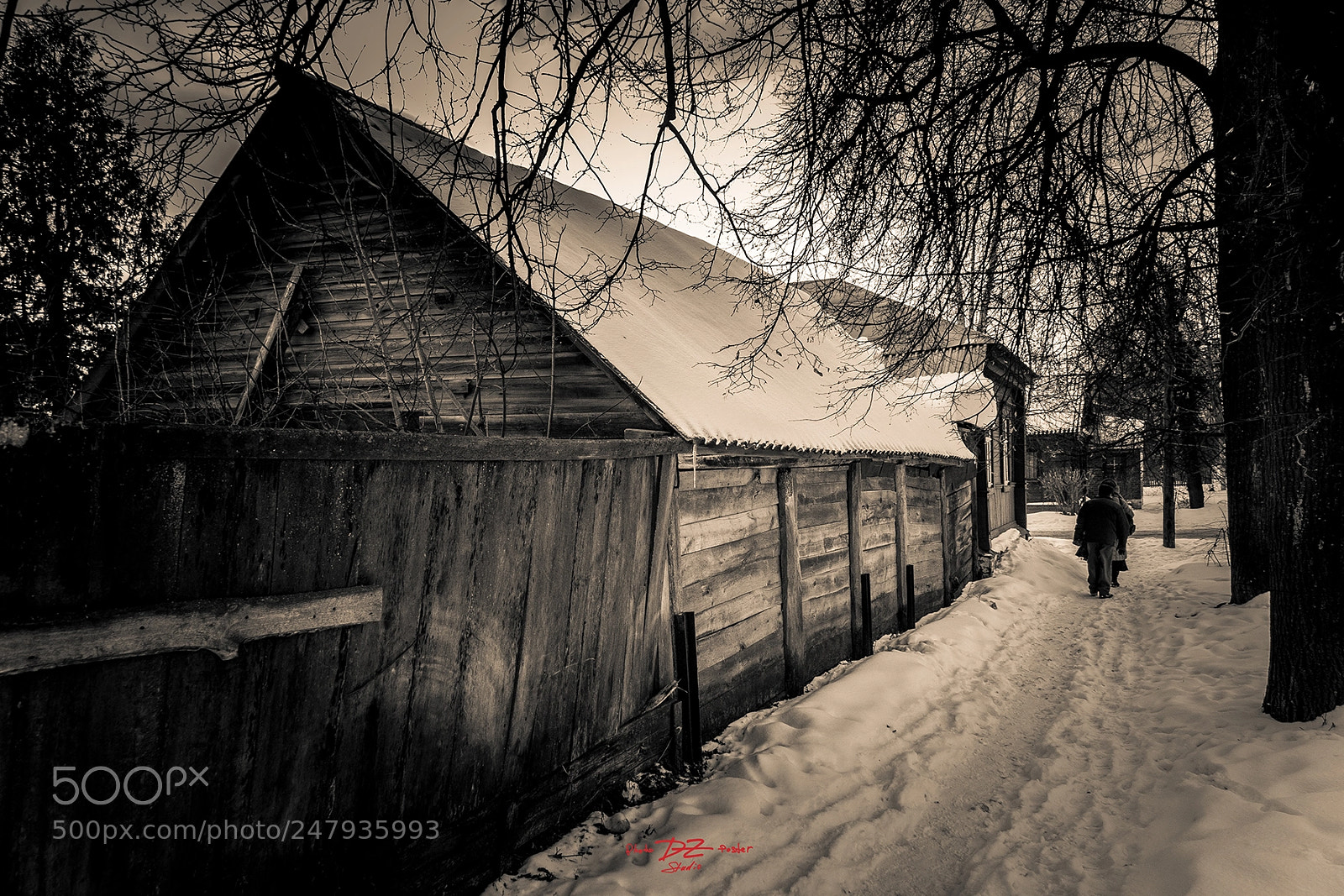 Canon EOS 50D sample photo. Old wooden house mono photography