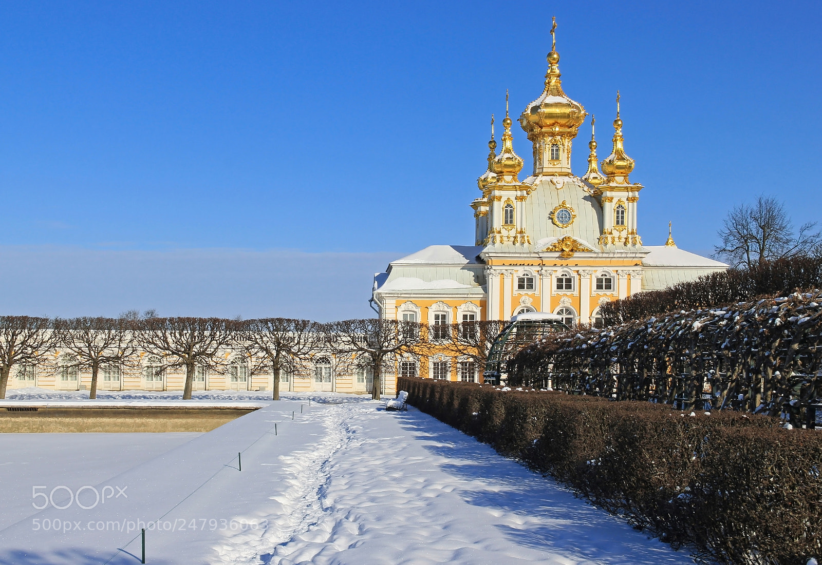 Canon EOS 60D sample photo. Петродворец photography