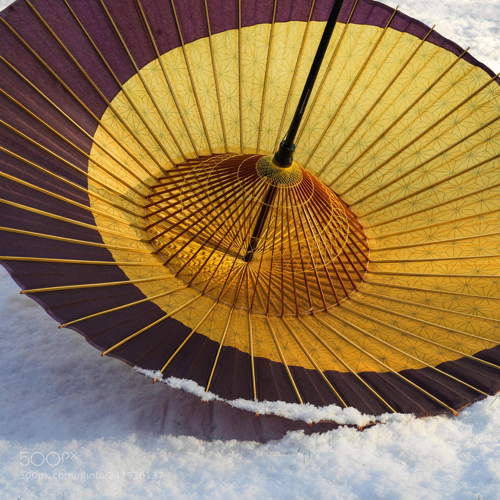 Hasselblad X1D-50c sample photo. Snow umbrella photography