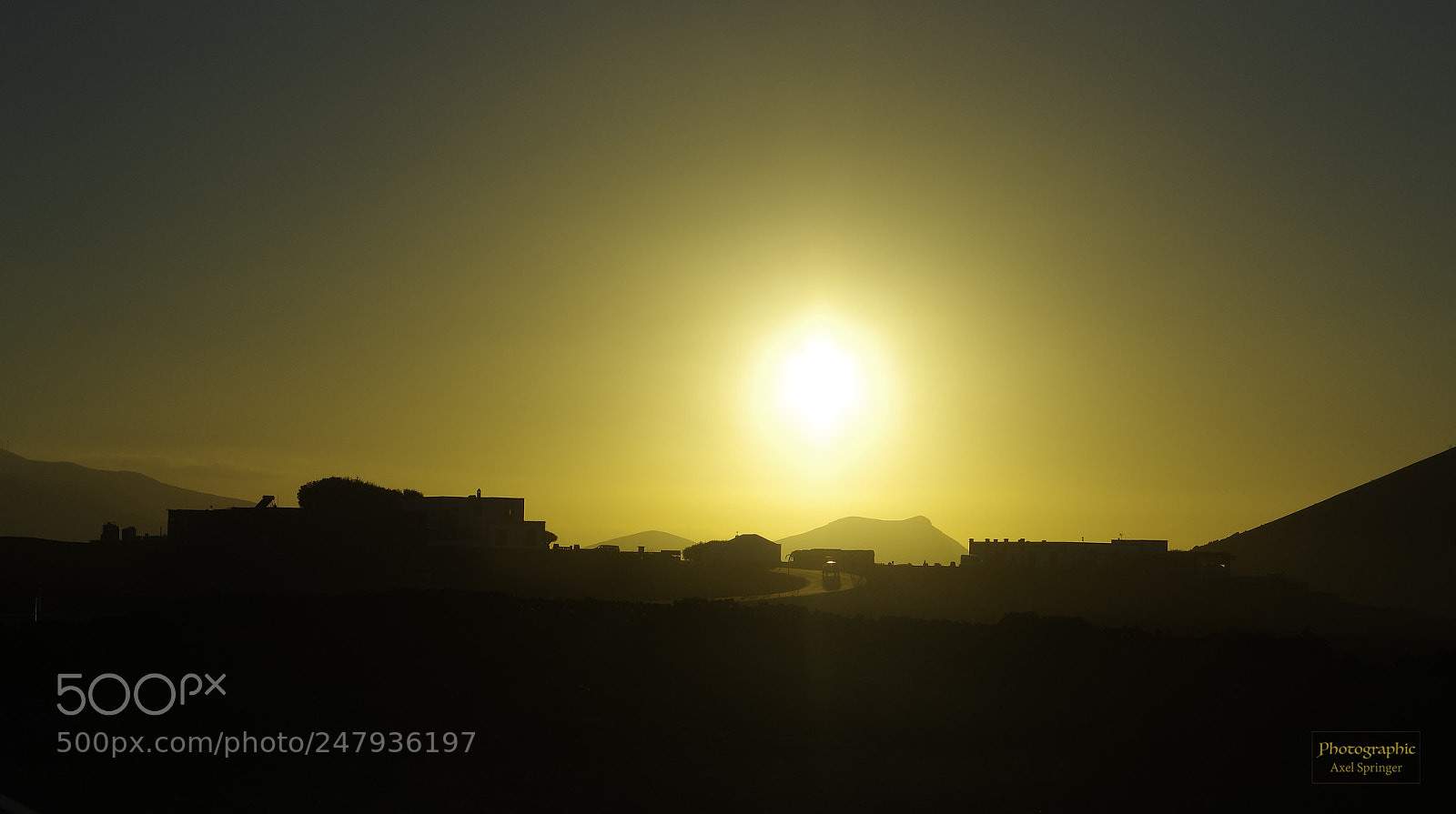 Pentax K-3 sample photo. Into the sun photography