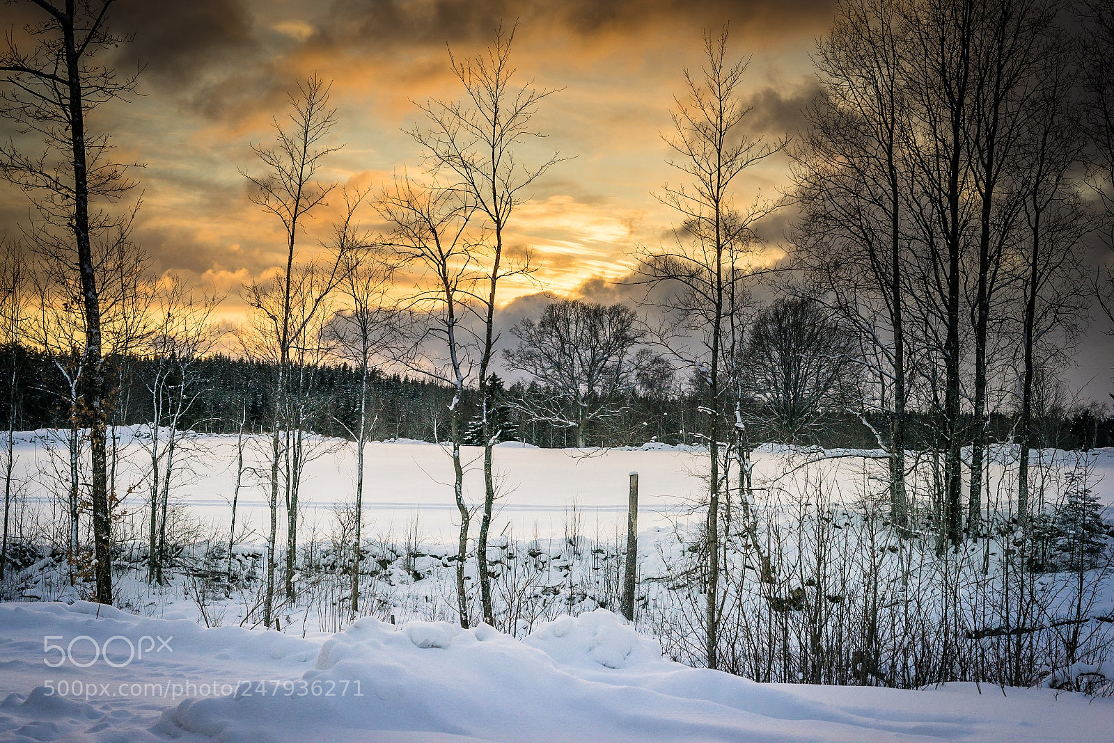 Sony a7R sample photo. Småland, sunset photography