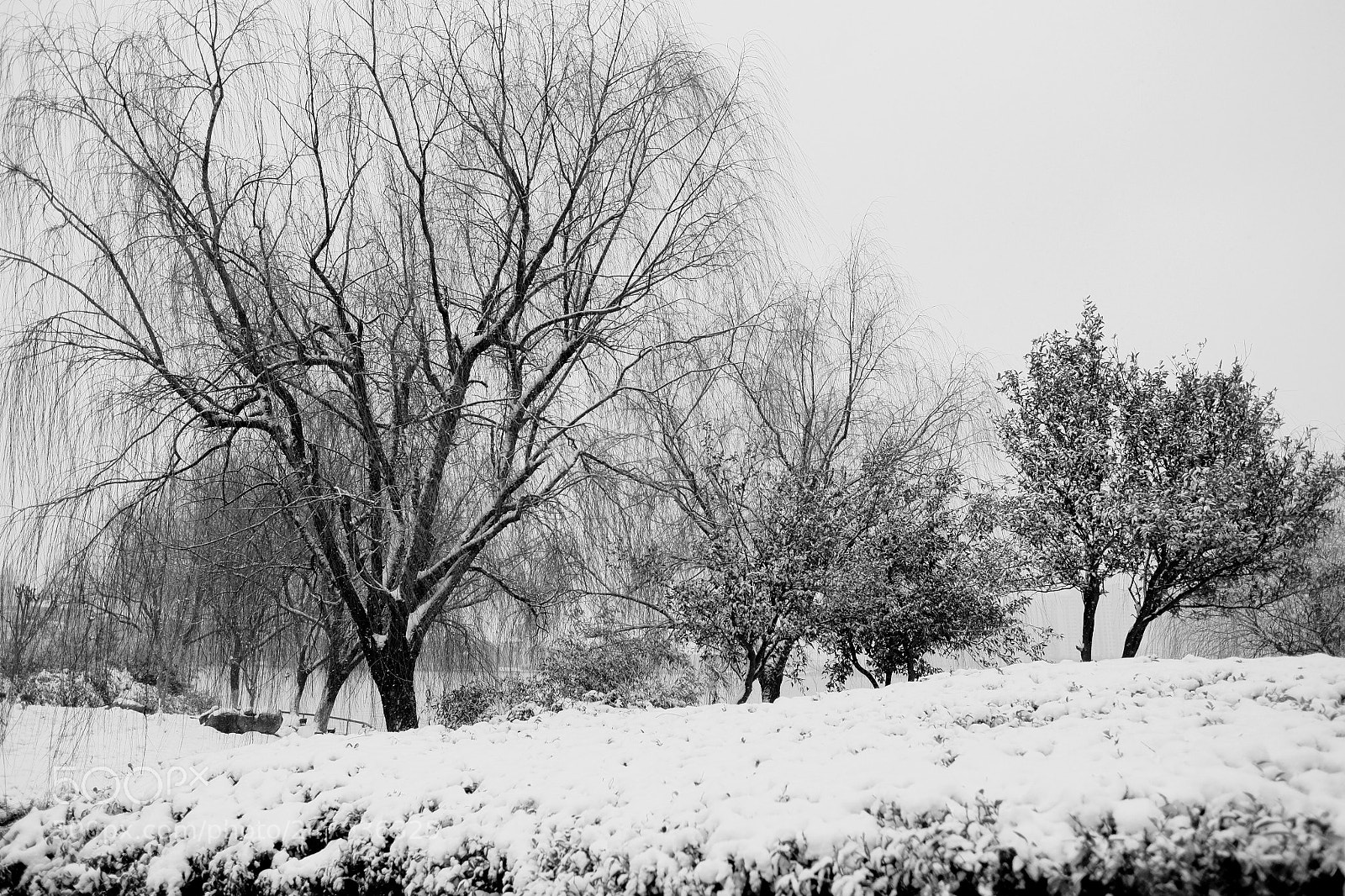 Fujifilm X-E2 sample photo. Jinji lake snow scene photography