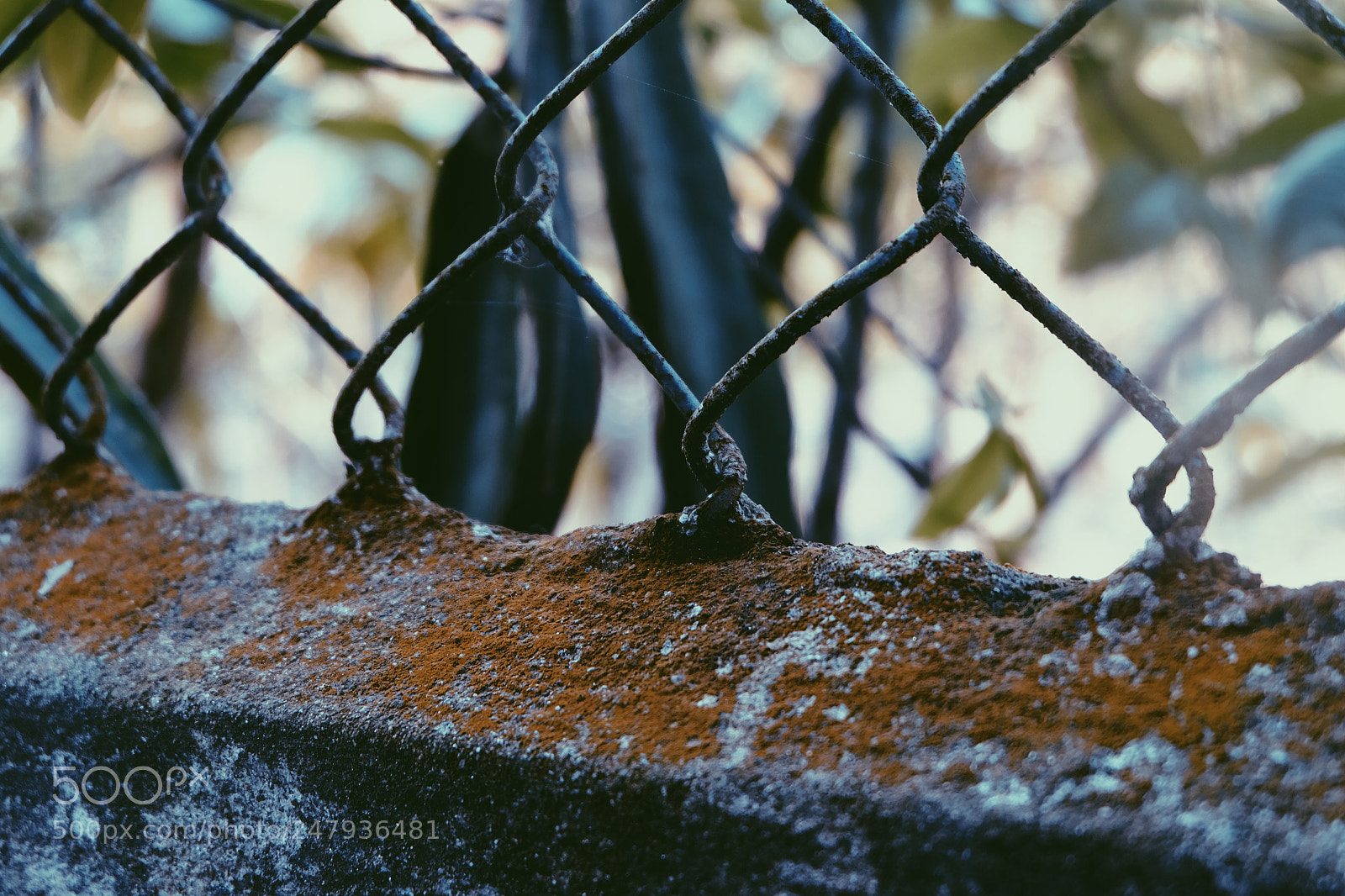Fujifilm X-T1 sample photo. Untitled photography