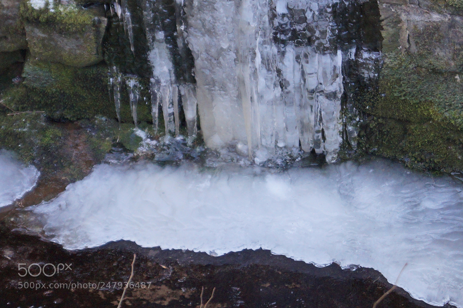 Sony SLT-A58 sample photo. Magic ice photography