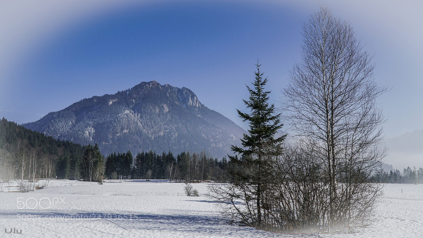 Sony a6300 sample photo. Winterbild photography