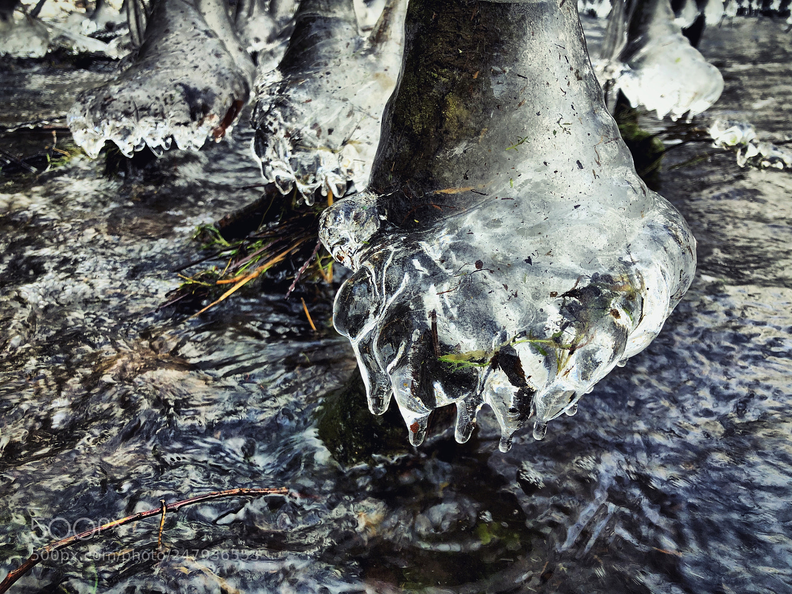 Apple iPhone X sample photo. Frozen tree photography