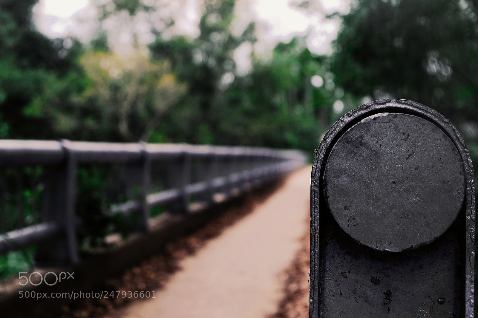 Fujifilm X-T1 sample photo. Untitled photography