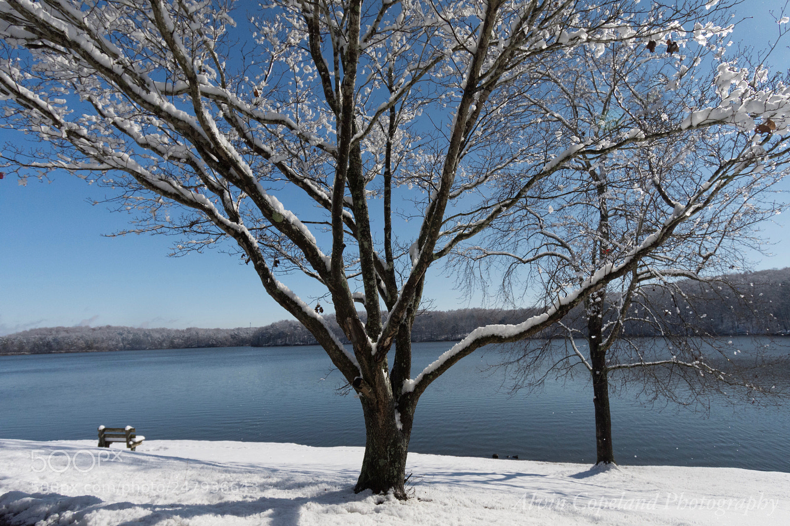 Nikon D7200 sample photo. Looking back at a photography