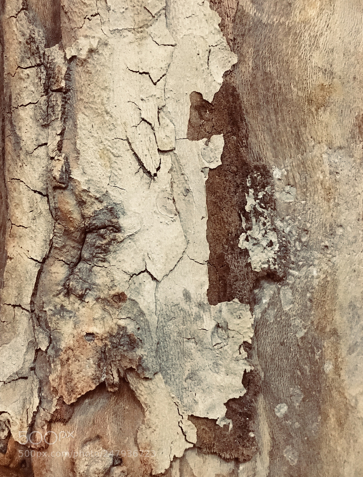 Apple iPhone 6s sample photo. Untitled photography
