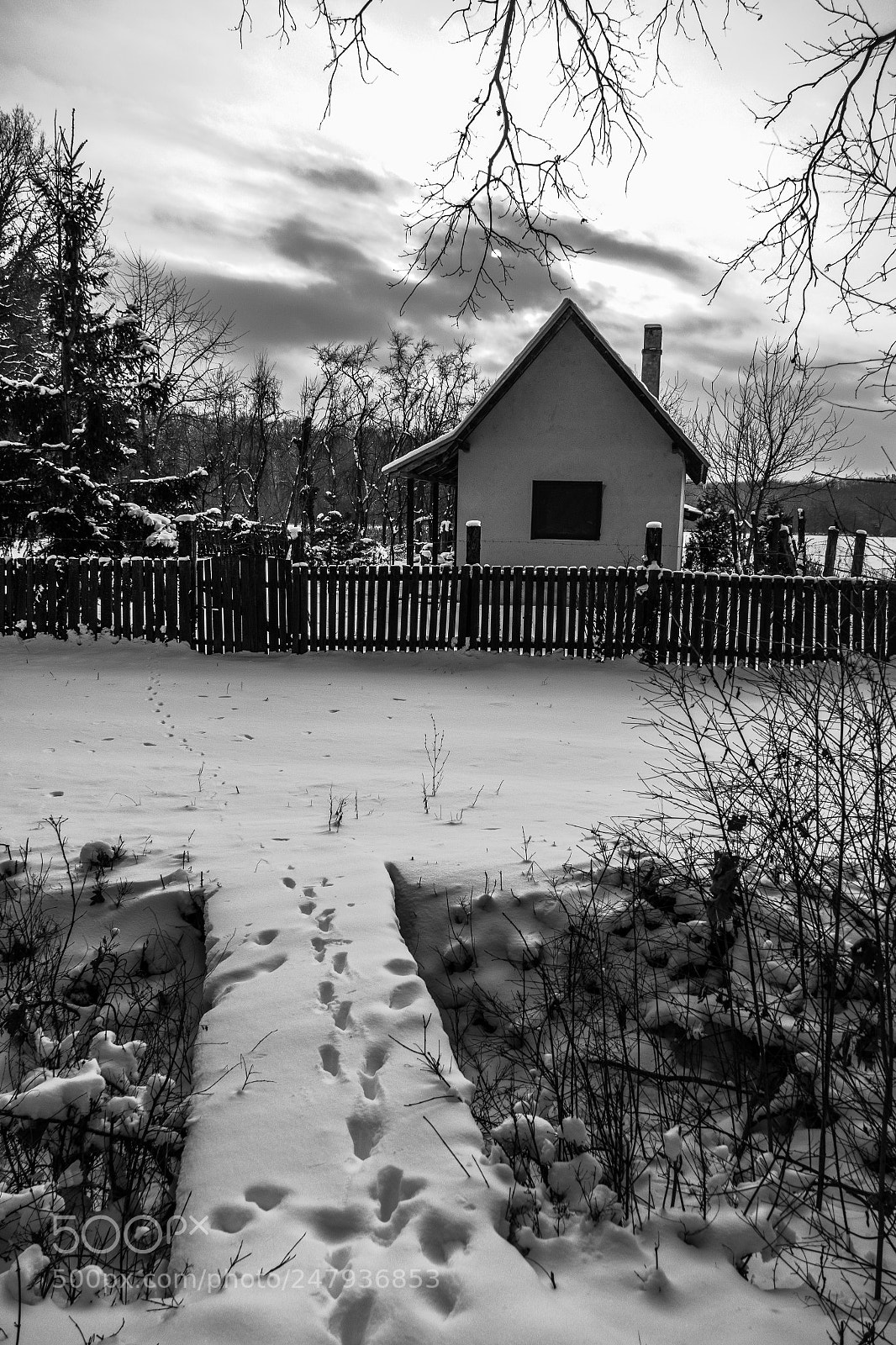 Panasonic Lumix DMC-FZ1000 sample photo. Beautiful winter photography