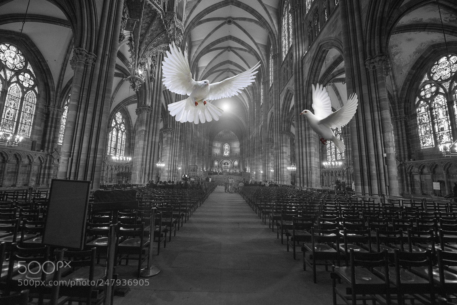 Nikon D800 sample photo. Cathedral of notre-dame, strasbourg photography