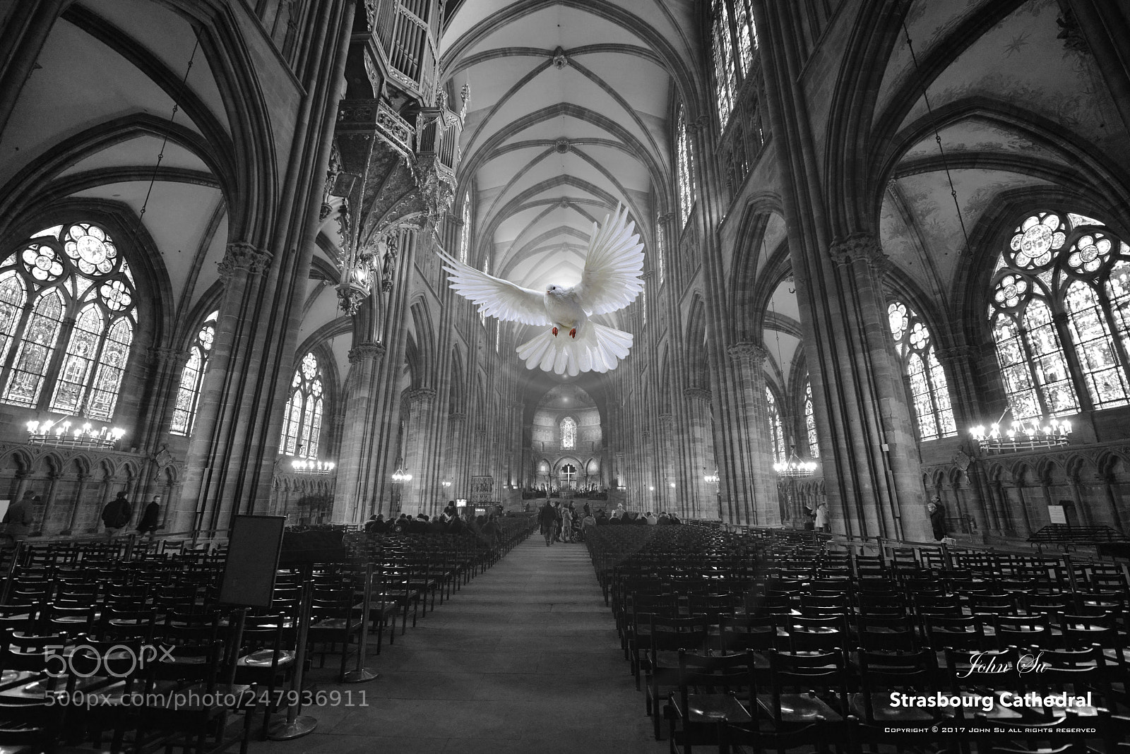 Nikon D800 sample photo. Cathedral of notre-dame, strasbourg photography