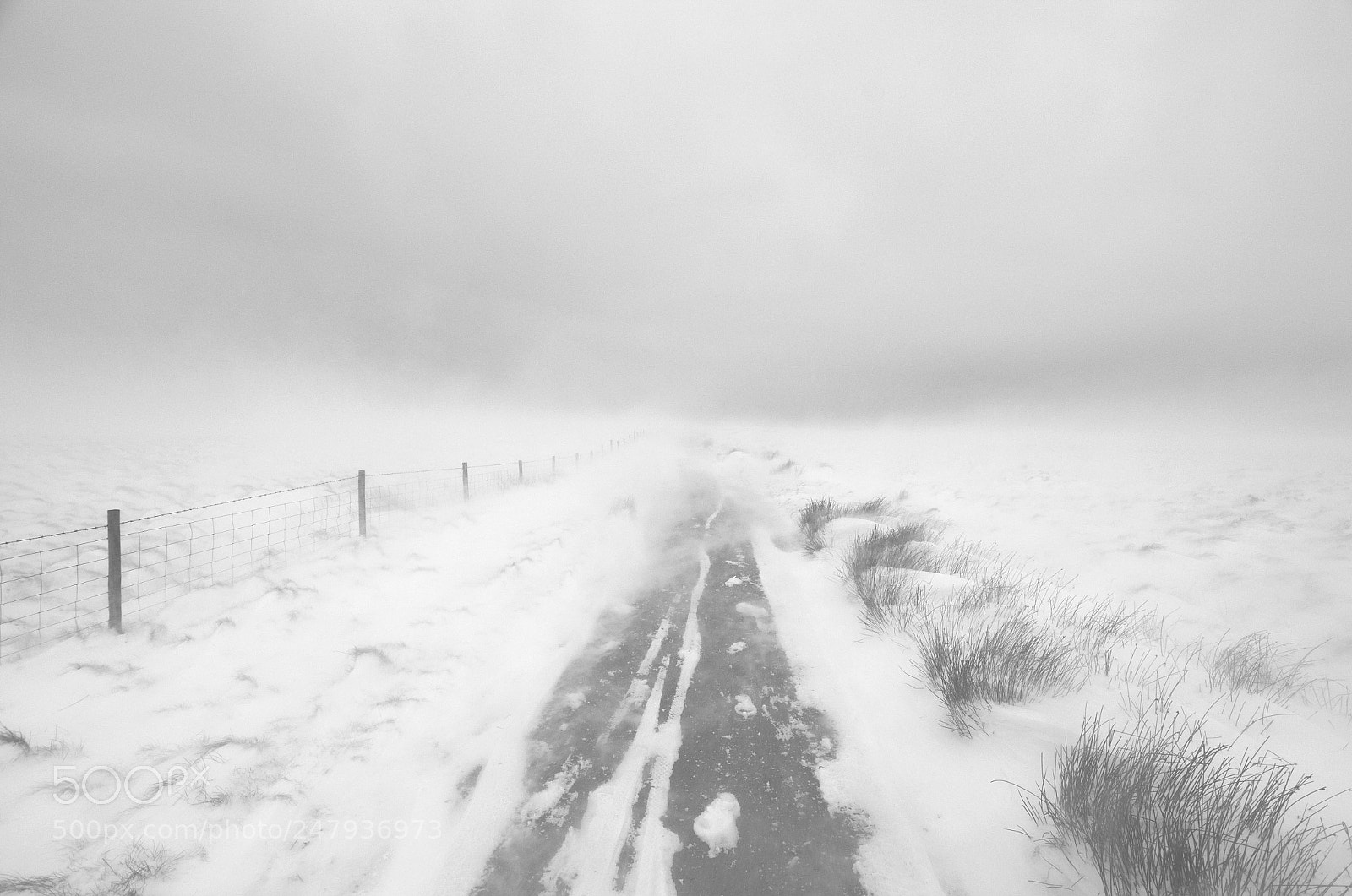 Nikon D5100 sample photo. The beast from the photography
