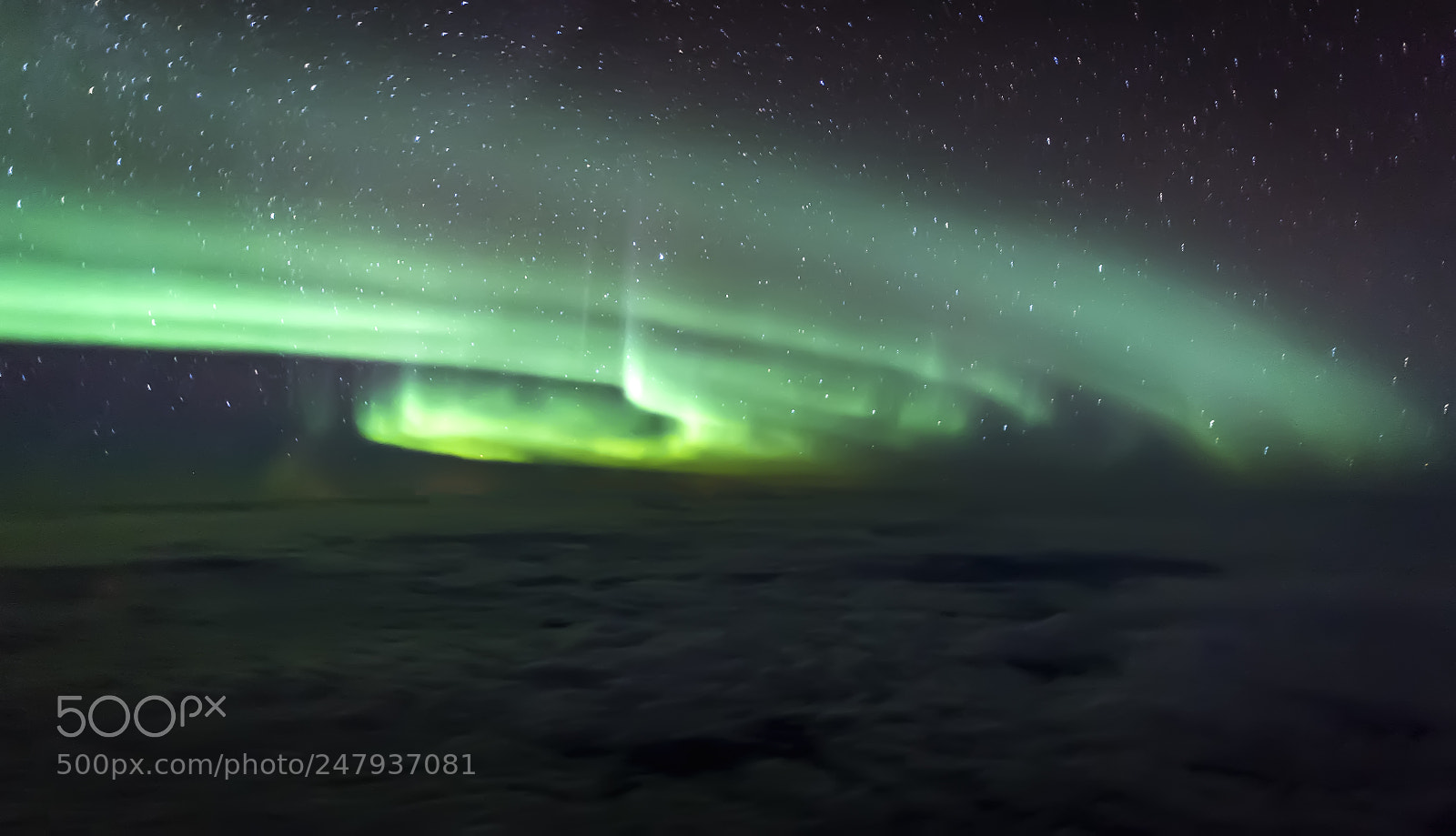 Nikon D5 sample photo. Northern lights photography