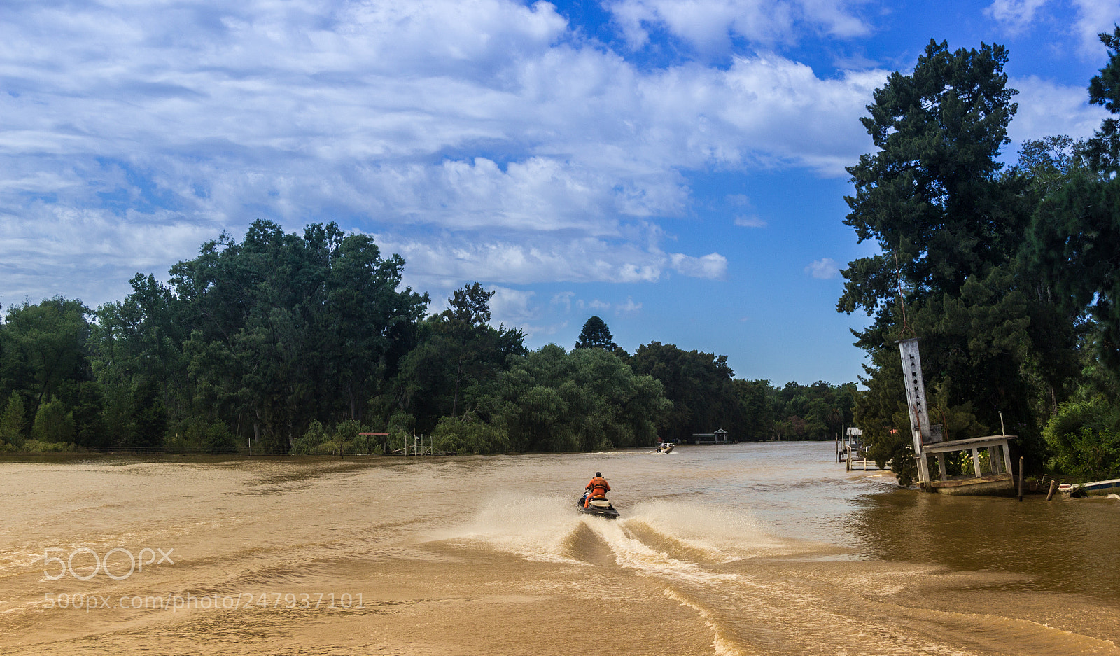 Canon EOS 600D (Rebel EOS T3i / EOS Kiss X5) sample photo. El escape del tigre photography
