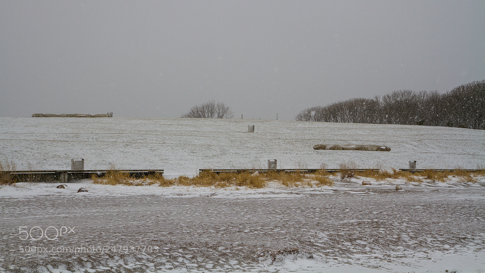 Canon EOS 7D sample photo. Img photography