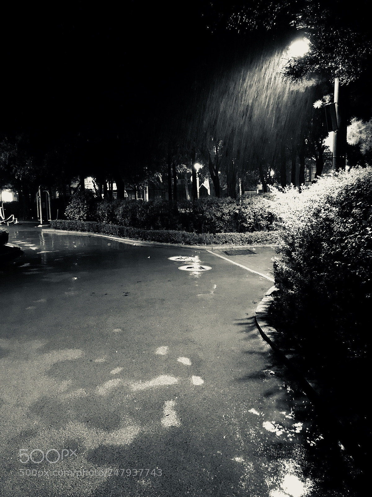 Apple iPhone 7 sample photo. Rain, night photography