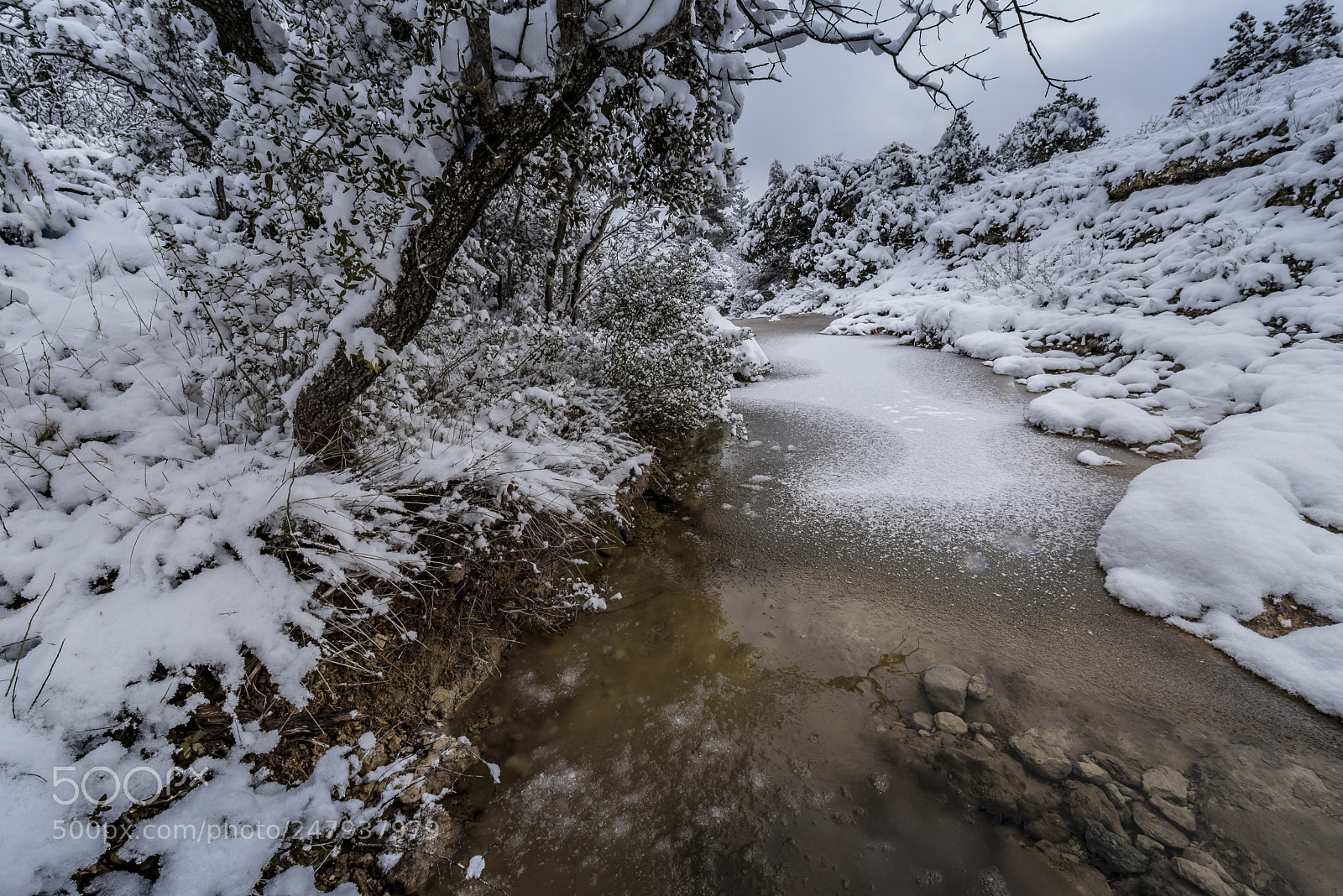 Nikon D750 sample photo. Snow, tree and water photography