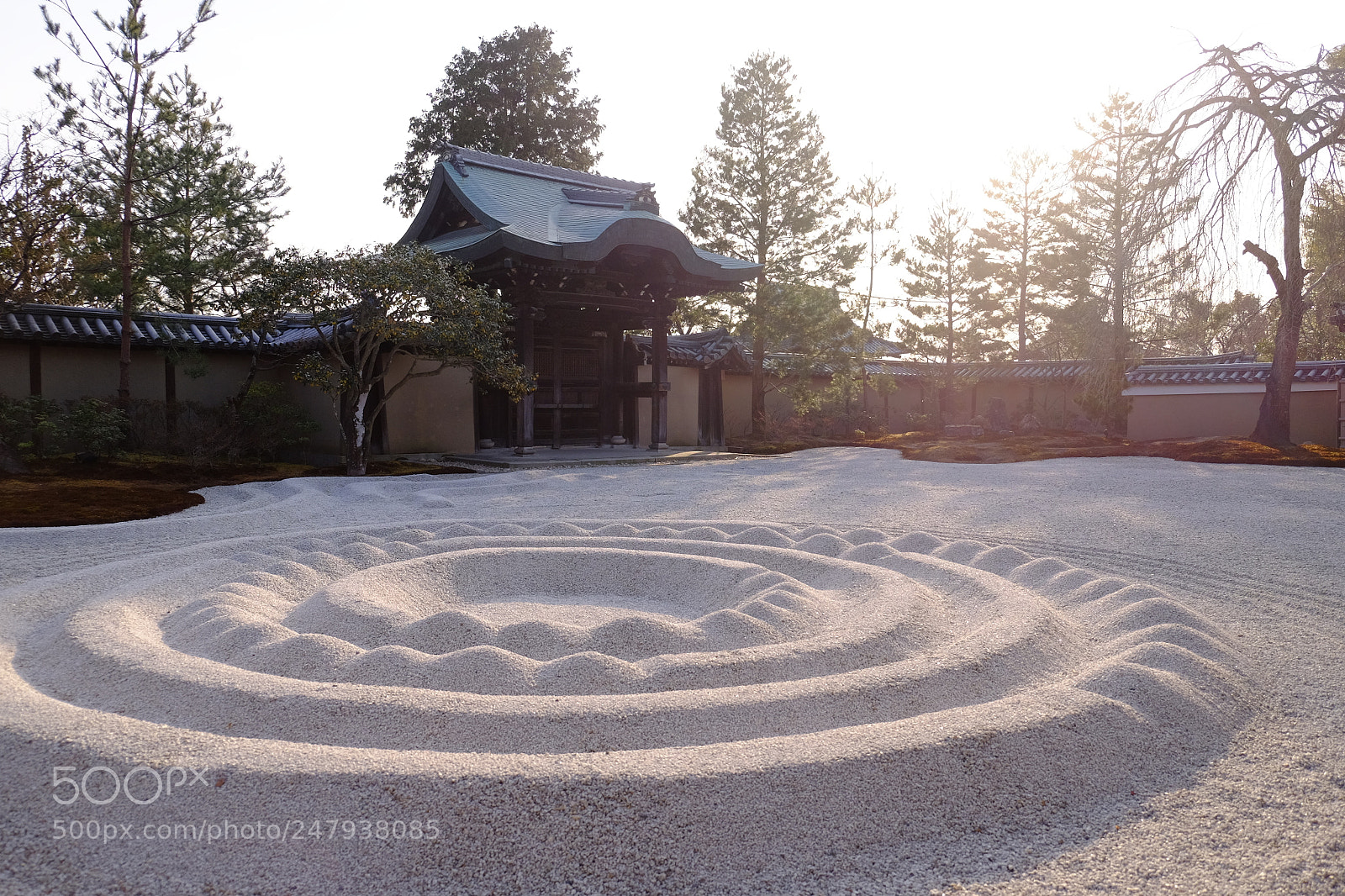 Fujifilm X-T1 sample photo. Tenryu-ji photography