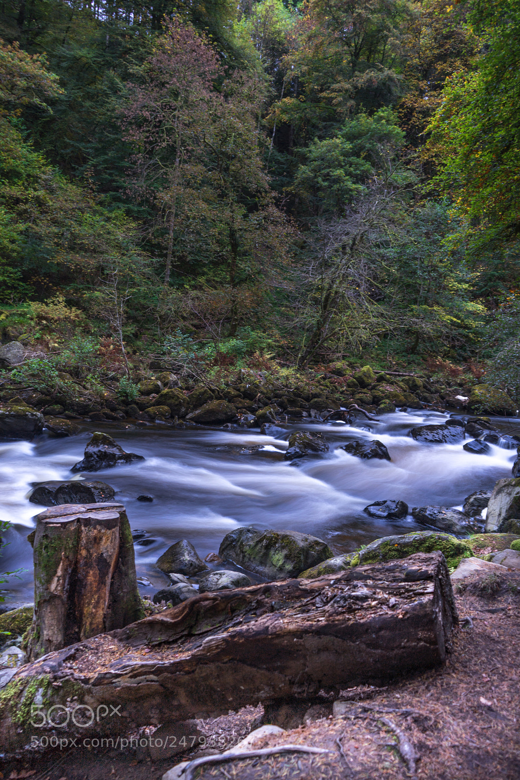 Sony a7 II sample photo. River braan photography