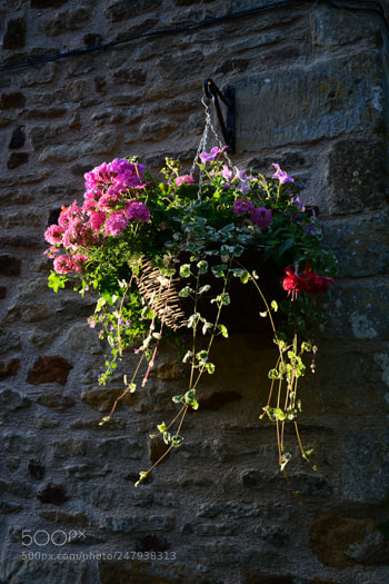 Nikon D7100 sample photo. Nd photography