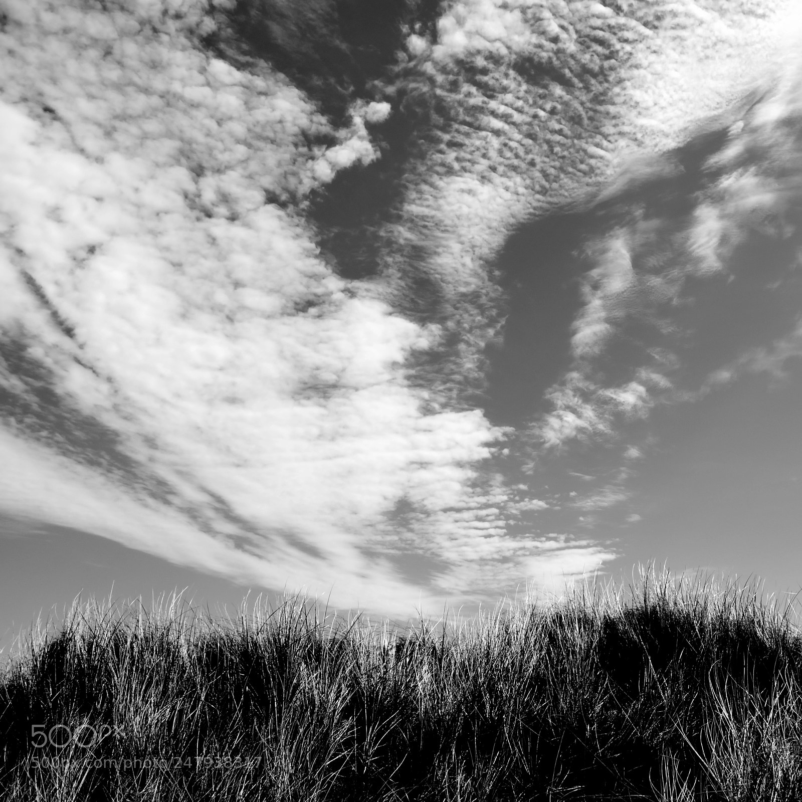 Nikon D5100 sample photo. Feather clouds 2018 photography