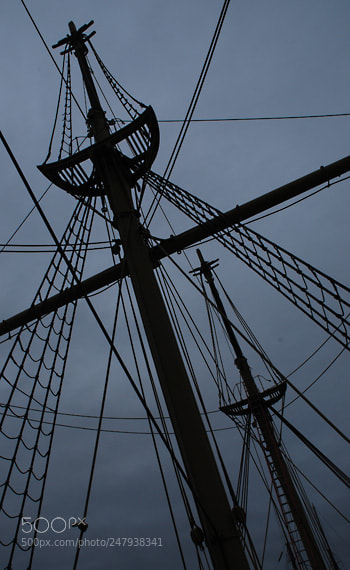 Nikon D60 sample photo. Td photography
