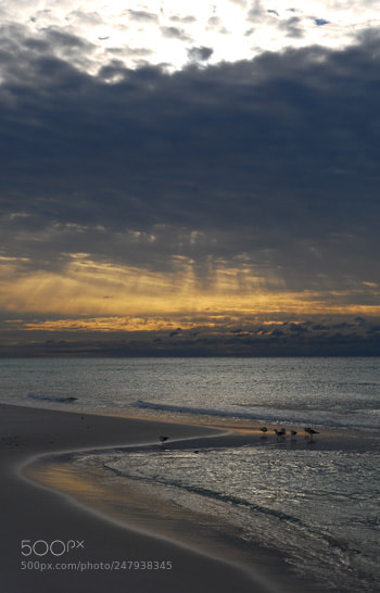 Nikon D60 sample photo. Td photography