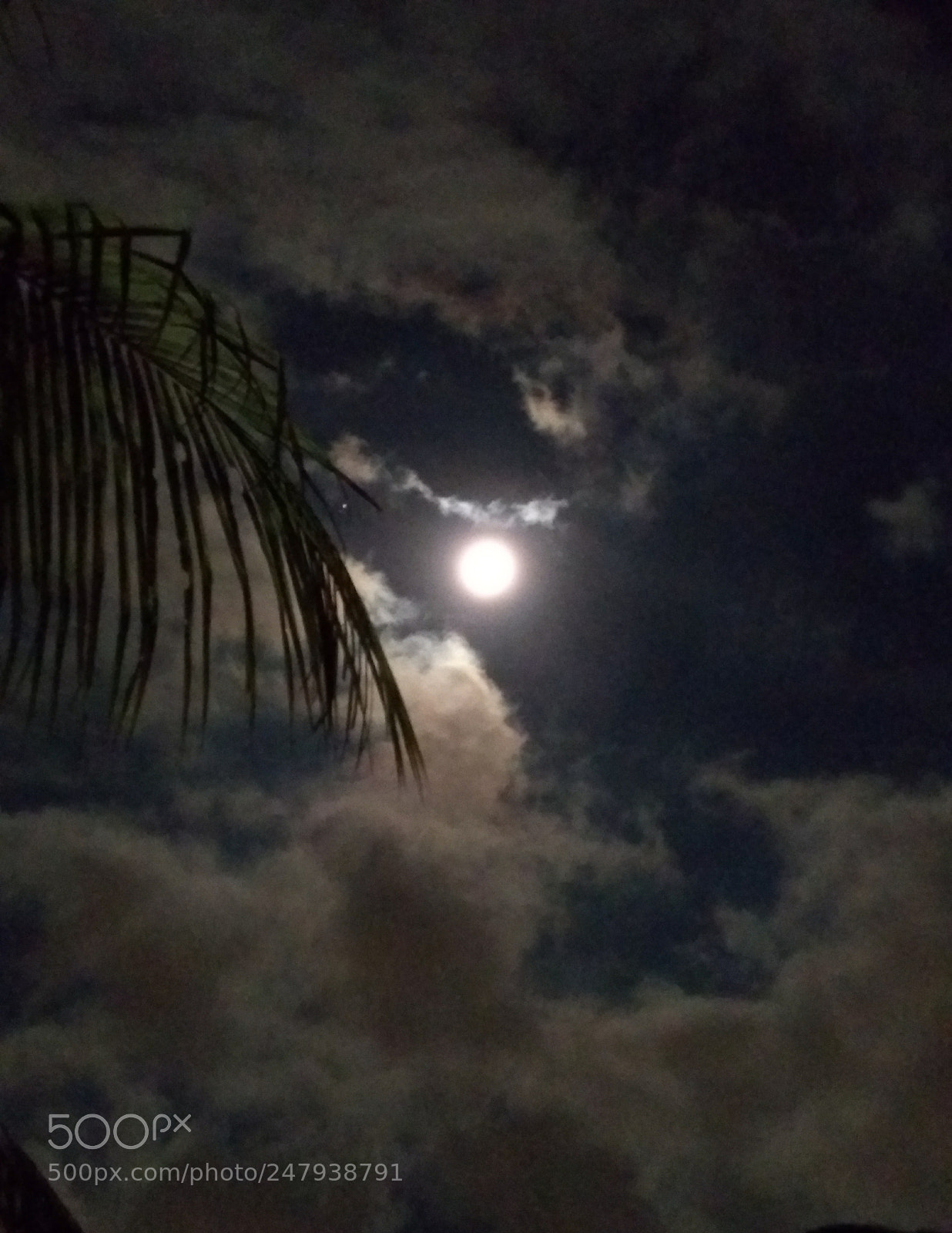 Motorola Moto G (5S) Plus sample photo. Untitled photography