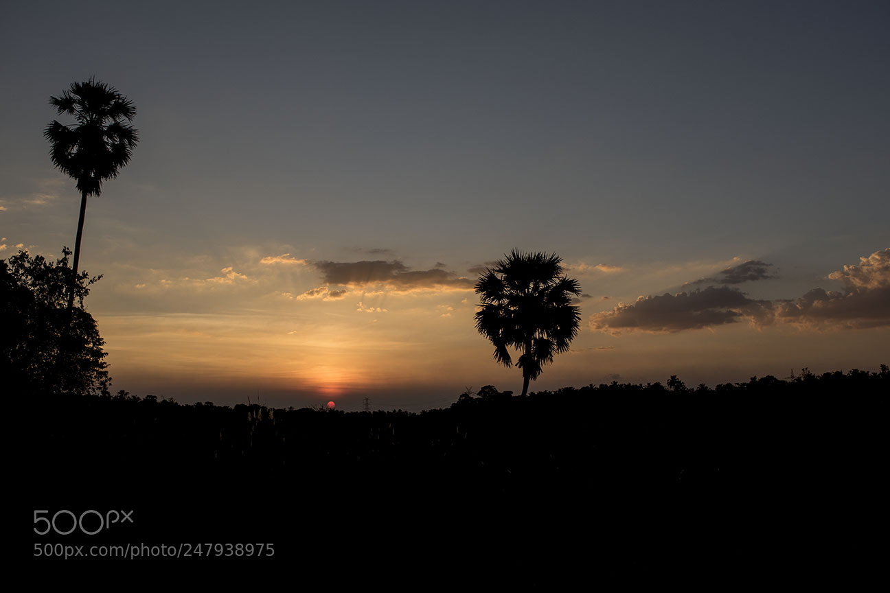 Nikon D810 sample photo. Sunset 1 photography