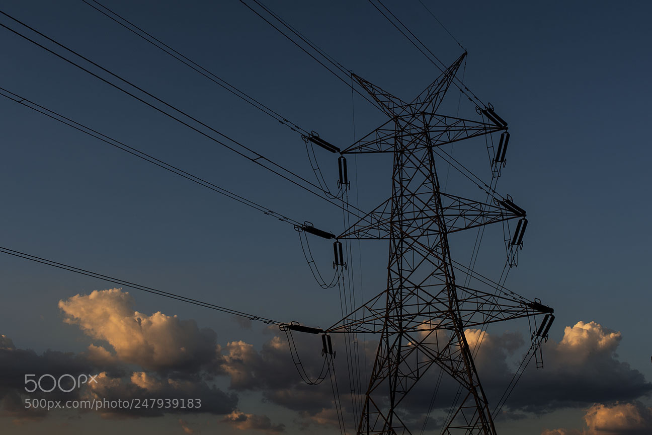 Nikon D810 sample photo. Lines photography