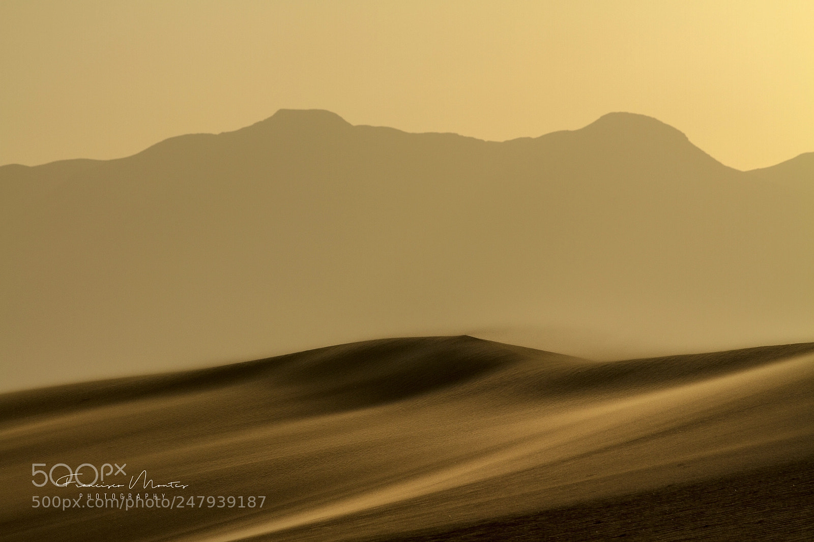Canon EOS 7D sample photo. Wind in the valley photography