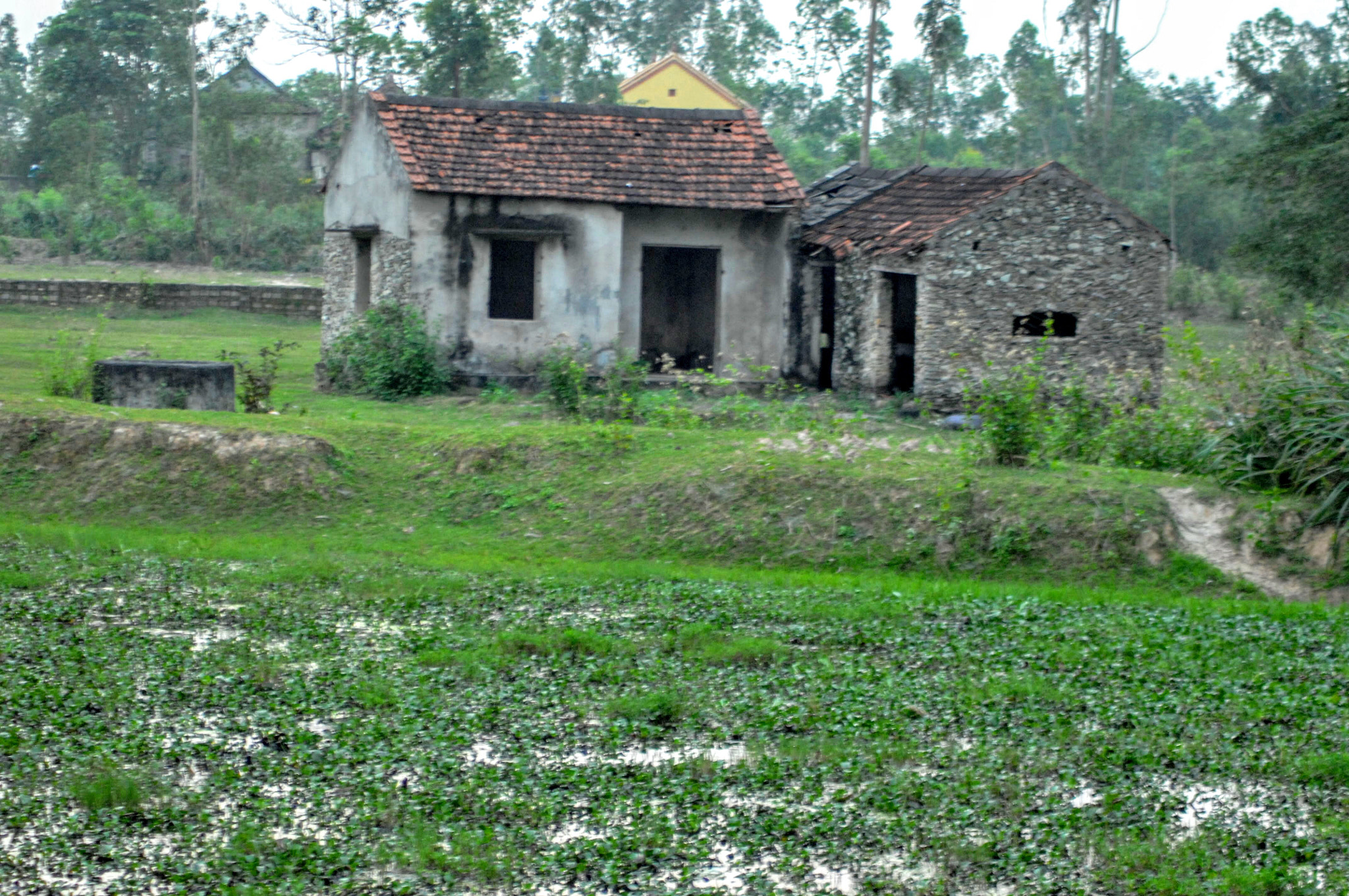 Nikon D2Xs sample photo. Vietnam photography