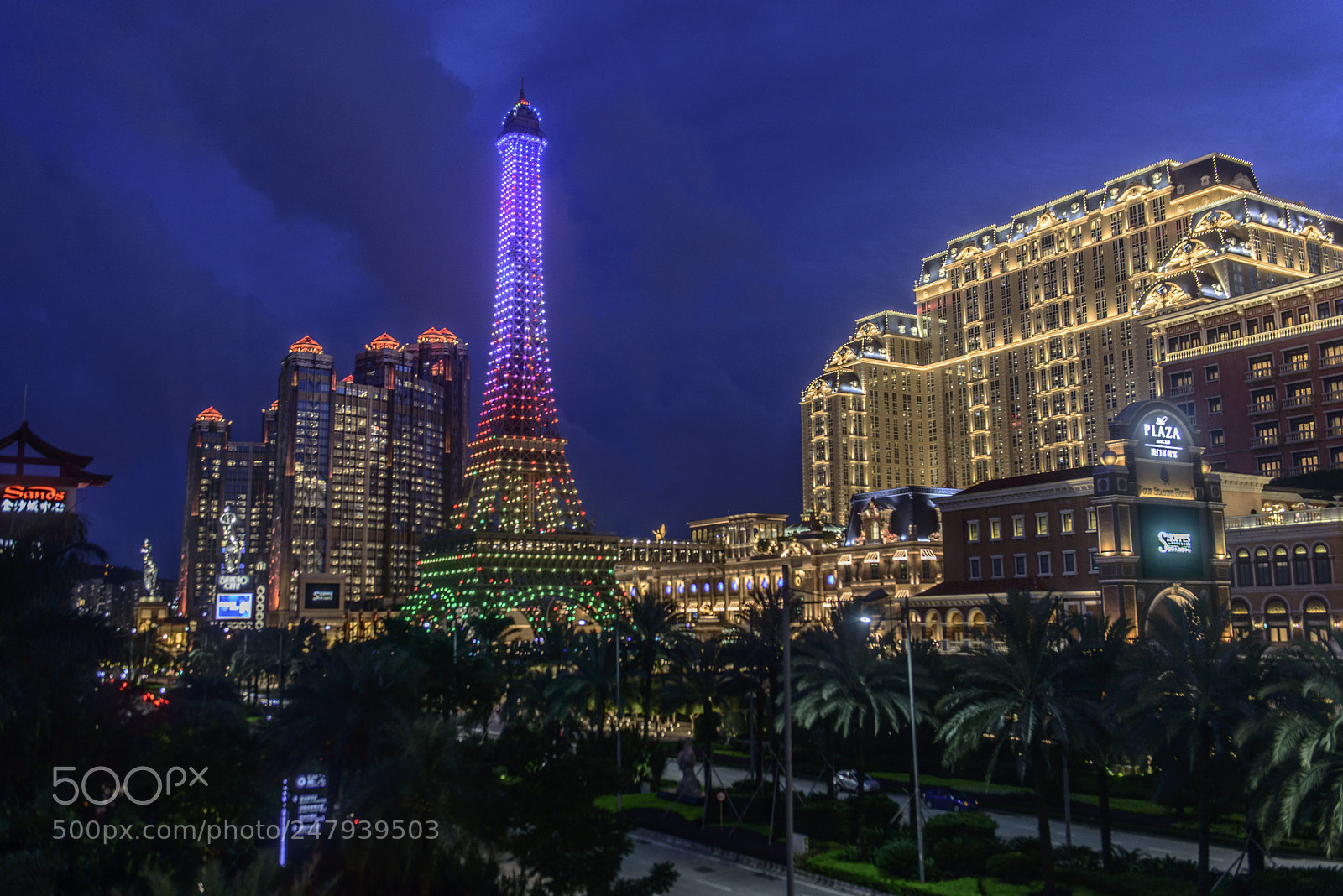 Nikon D800 sample photo. The parisian macao photography