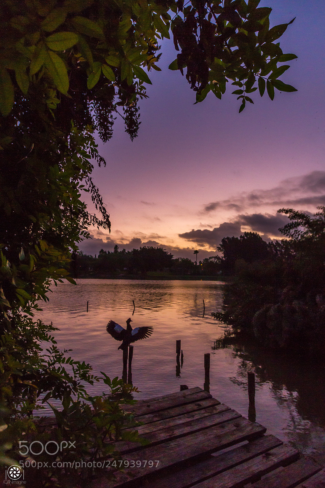 Canon EOS 7D sample photo. Morning stretch photography