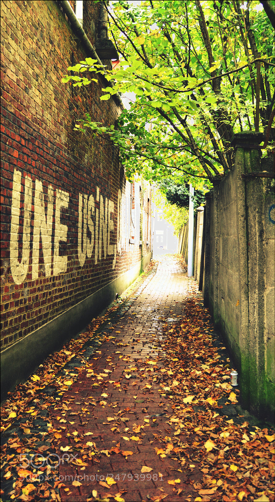 Nikon D3200 sample photo. Ruelle photography