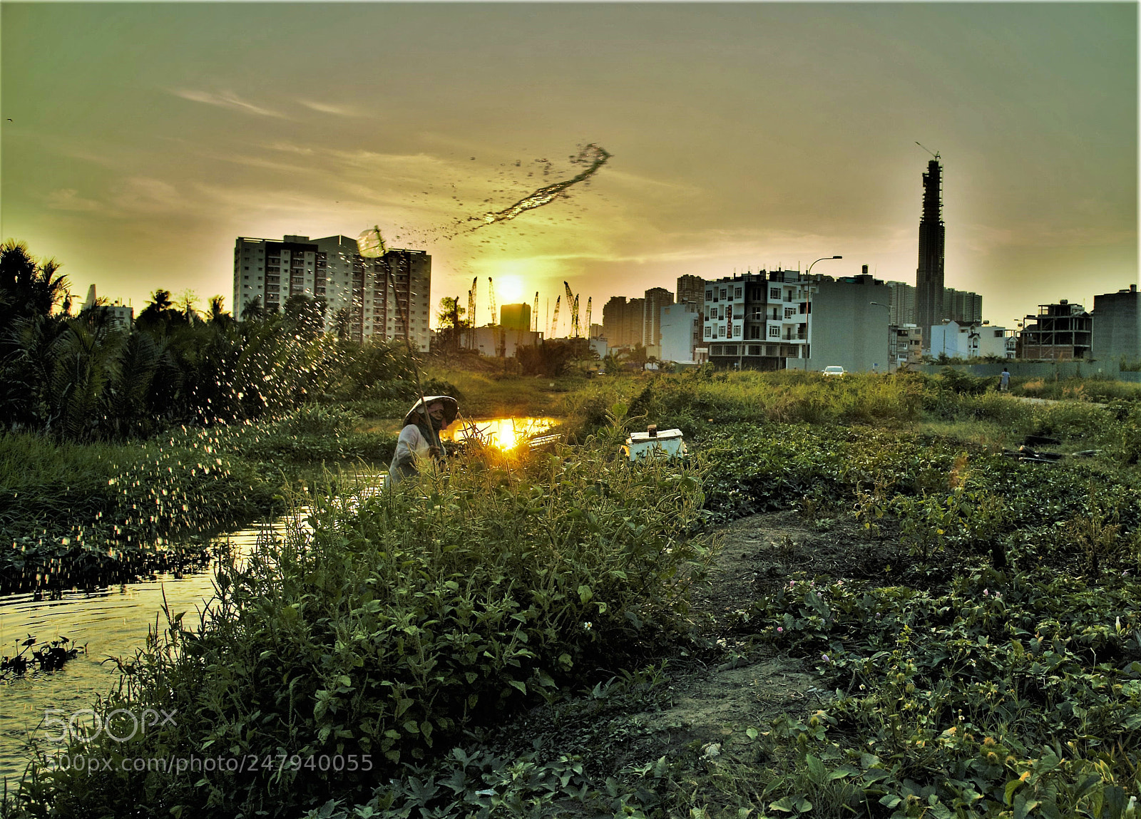 Nikon D700 sample photo. Watering photography