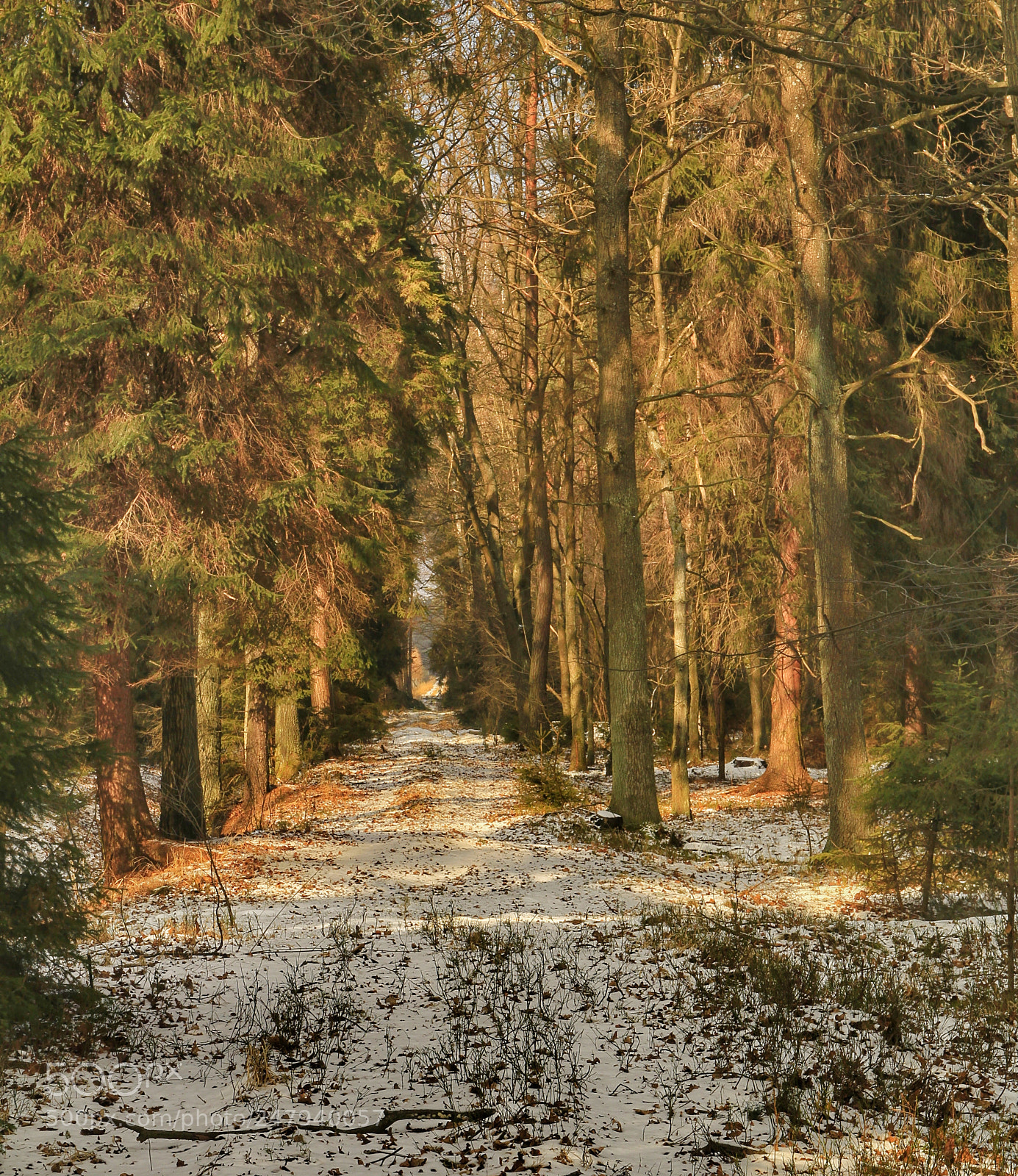Canon EOS 1200D (EOS Rebel T5 / EOS Kiss X70 / EOS Hi) sample photo. Winter in poland :) photography