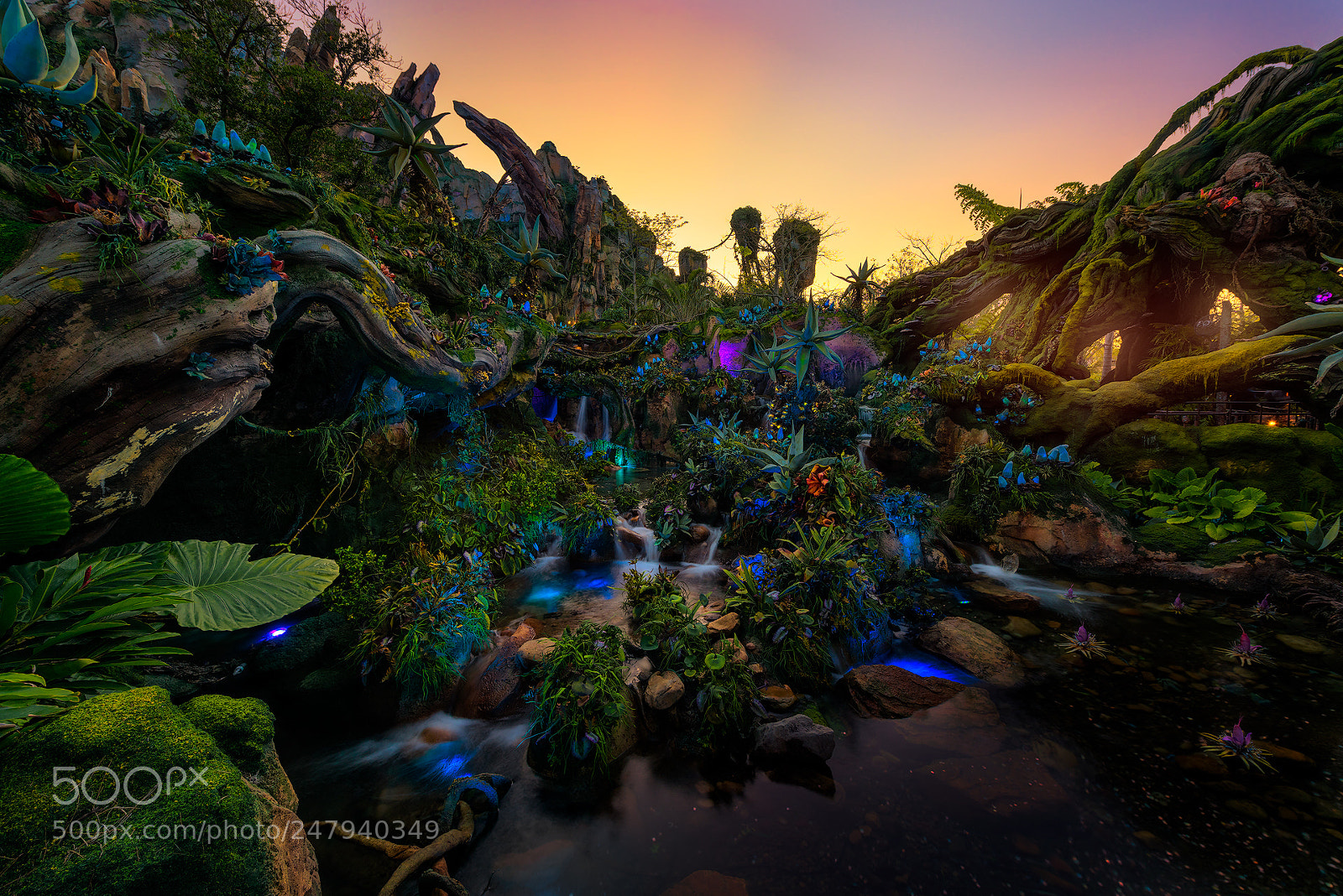Nikon D810 sample photo. Sunset on pandora sm photography