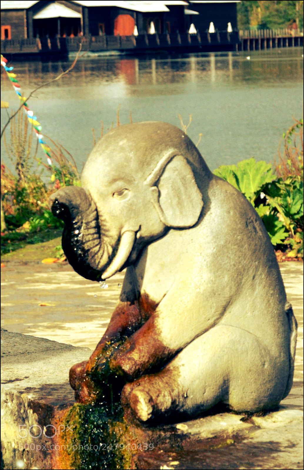 Nikon D3200 sample photo. Waterhole photography