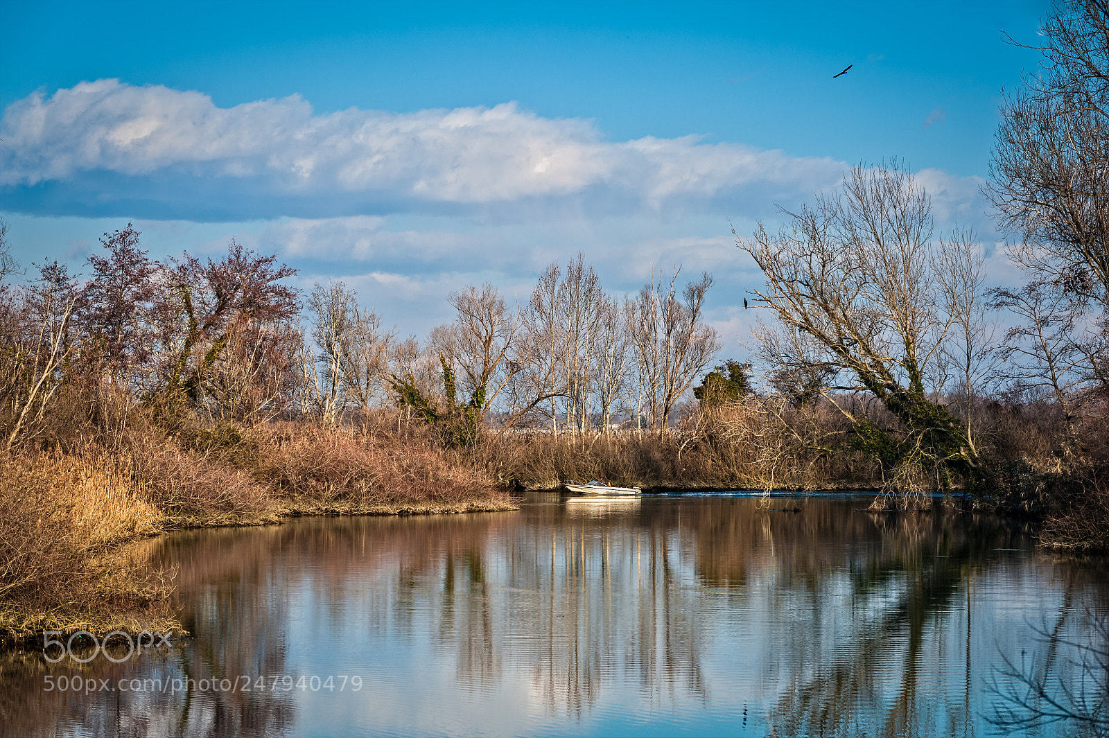 Nikon D700 sample photo. Nature scene, lake ,boat photography