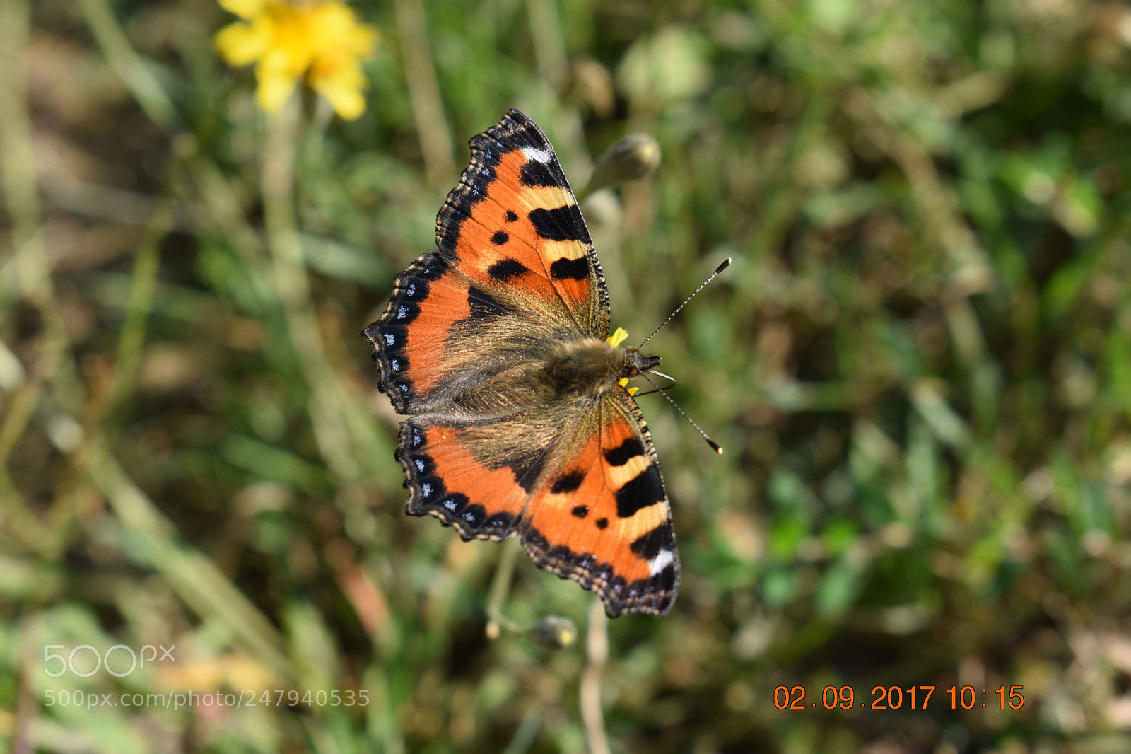 Nikon D3400 sample photo. Untitled photography