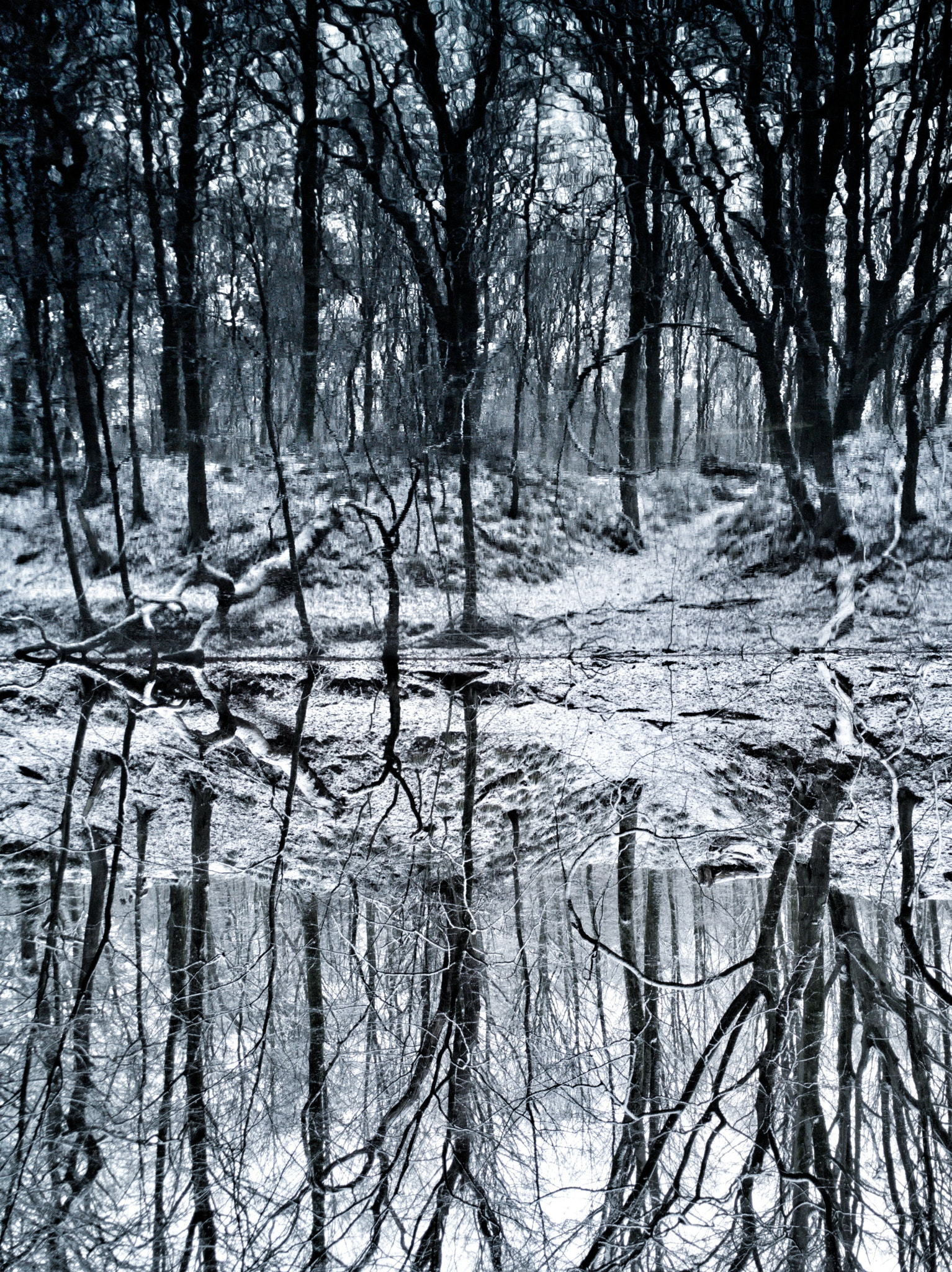HUAWEI Mate 9 Pro sample photo. Upside-down winter wonderland photography