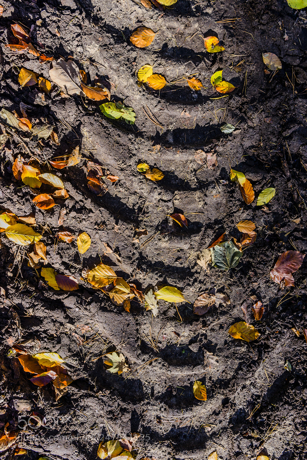 Nikon D800 sample photo. Imprint of the tire photography
