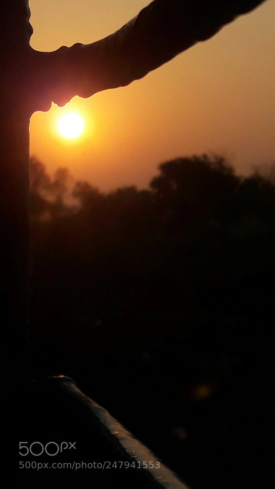 Samsung Galaxy J7 sample photo. From the train. photography