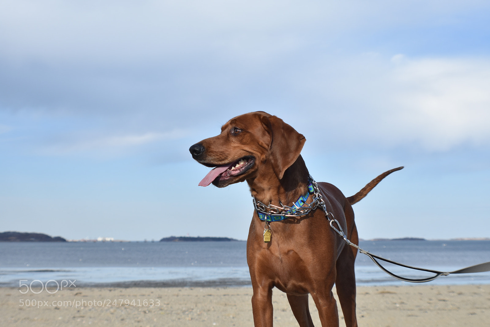 Nikon D3400 sample photo. Joyful beach walk photography