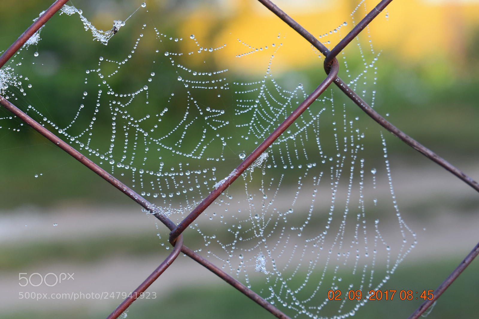 Nikon D3400 sample photo. Untitled photography