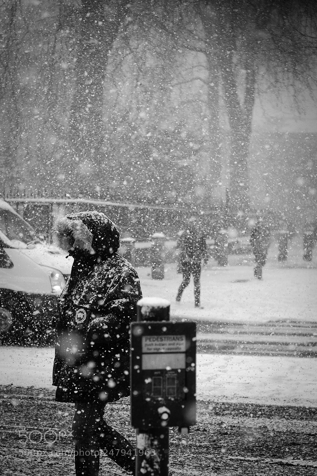 Fujifilm X-Pro1 sample photo. Untitled photography